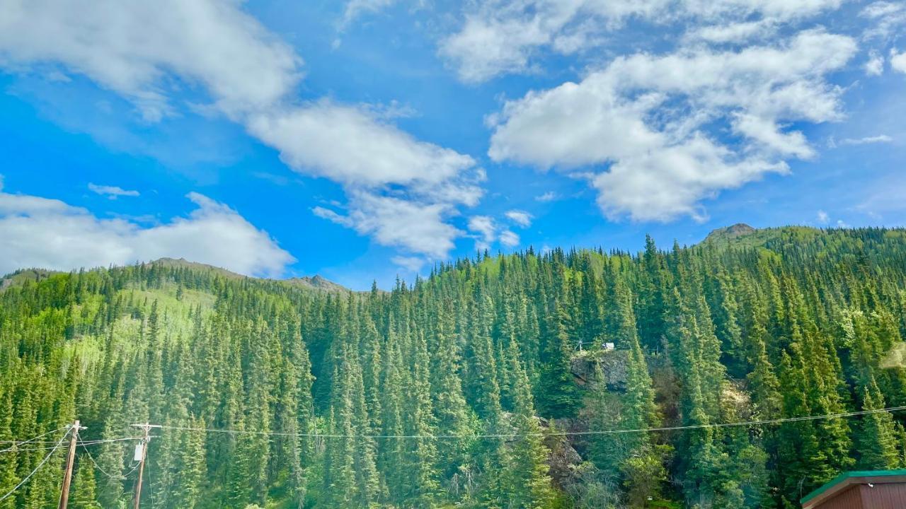 Denali Park Denali Rainbow Village Rv Park And Motel מראה חיצוני תמונה